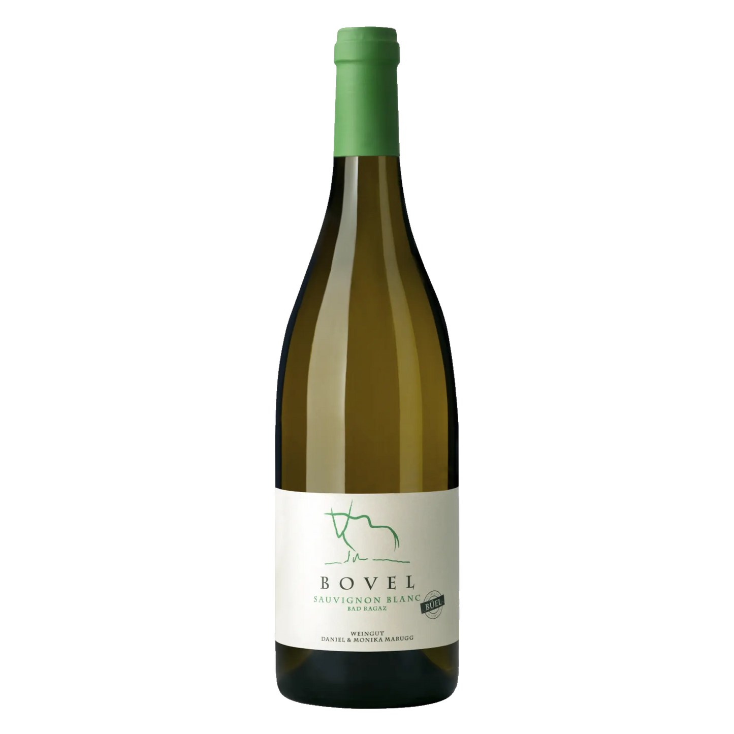 Sauvignon Blanc Büel – Flasche freigestellt, Weisswein vom Weingut Marugg, AOC St. Gallen