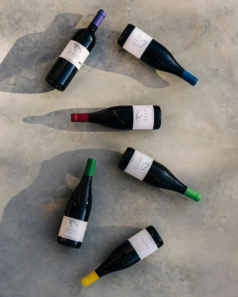 Degustationspaket «Pinot Noir – PInot Blanc – Chardonnay – Merlot – Riesling-Silvaner – Cuvée Blanc» Weingut Daniel & Monika Marugg in Fläsch