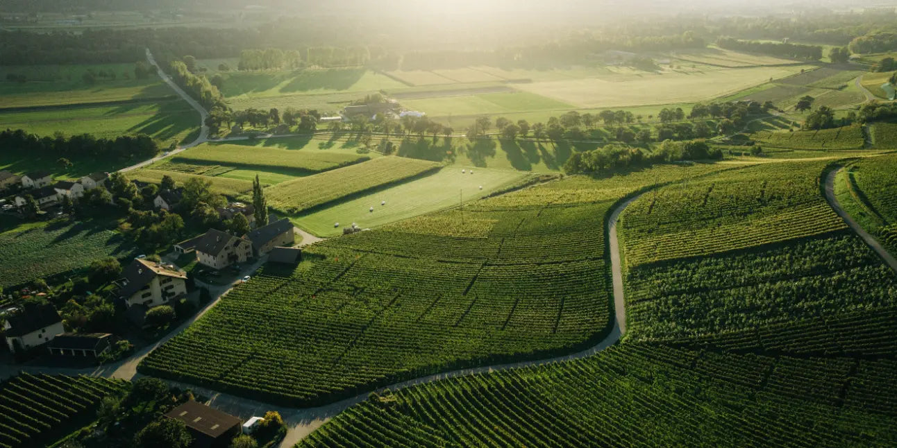 Luftaufnahme eines Weinguts mit weitläufigen Weinbergen im Abendlicht, umgeben von Feldern und Wohngebäuden
