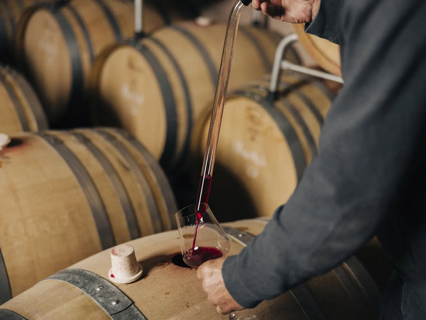 Eine Person entnimmt mit einer Pipette Rotwein aus einem Holzfass und füllt ihn in ein Glas; im Hintergrund sind mehrere Weinfässer zu sehen.