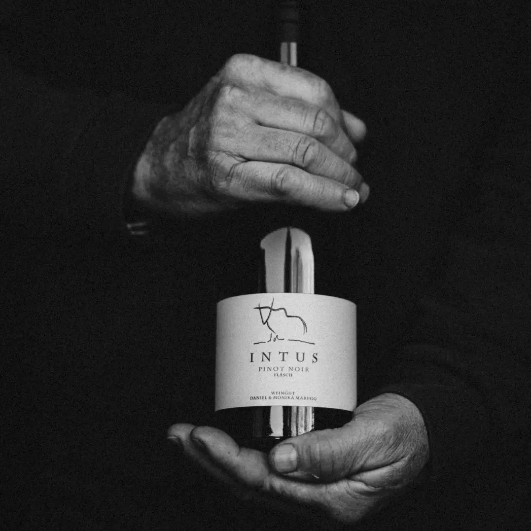 Zwei kräftige Hände halten ein Flasche Pinot Noir Intus aus Fläsch. Das Bild ist in schwarzweiss.