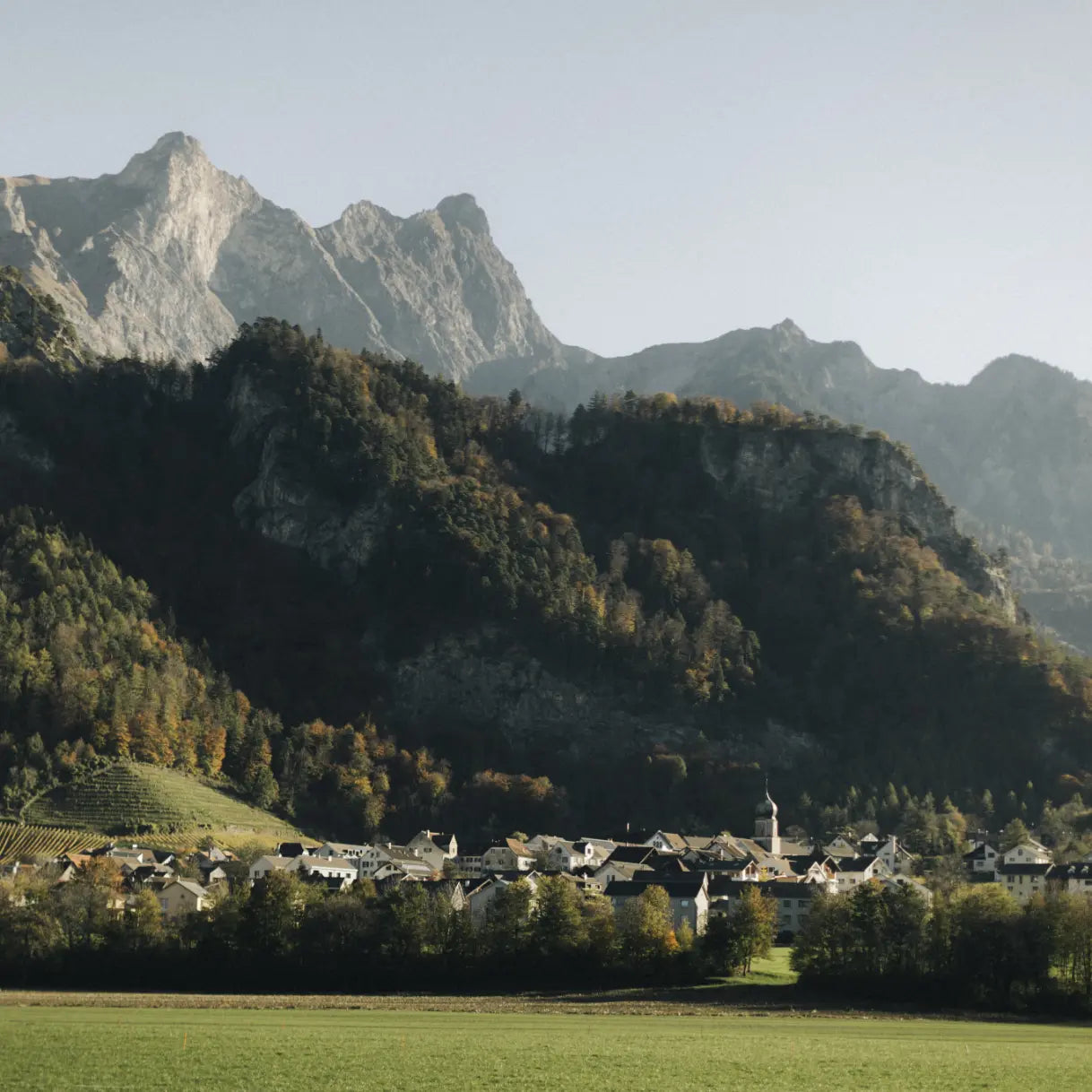 Fläsch in der Bündner Herrschaft vor bewaldeten Hügeln und alpinem Bergpanorama.