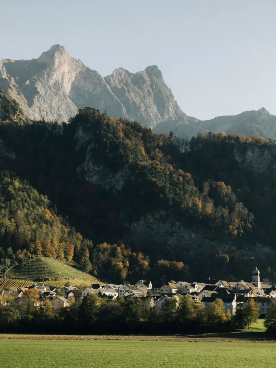 Herbstliche Ansicht des Dorfes Fläsch in der Bündner Herrschaft mit Rebbergen am Hang und Alpen im Hintergrund