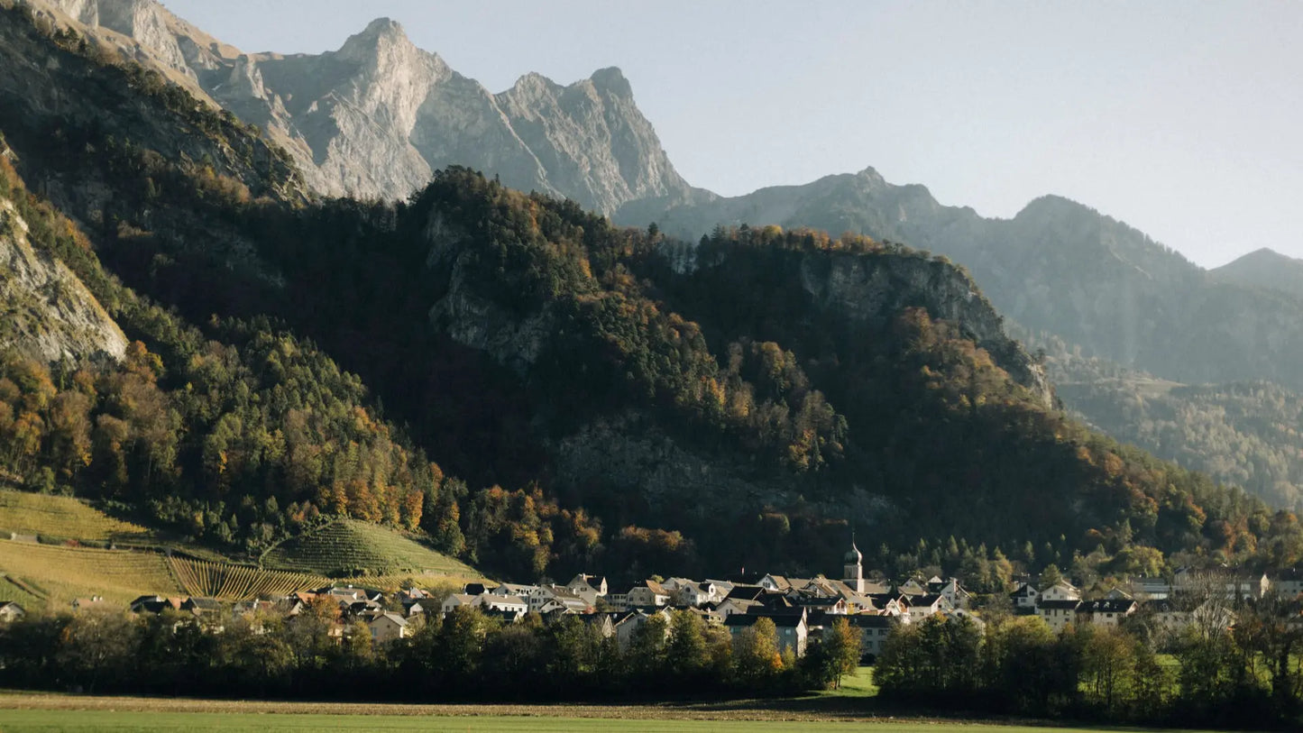 Herbstliche Ansicht des Dorfes Fläsch in der Bündner Herrschaft mit Rebbergen am Hang und Alpen im Hintergrund