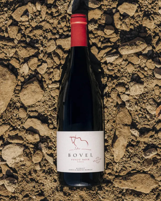 Dunkle Rotweinflasche mit roter Kapsel liegt auf steinigem Boden. Auf dem Etikett steht „Bovel Pinot Noir“.