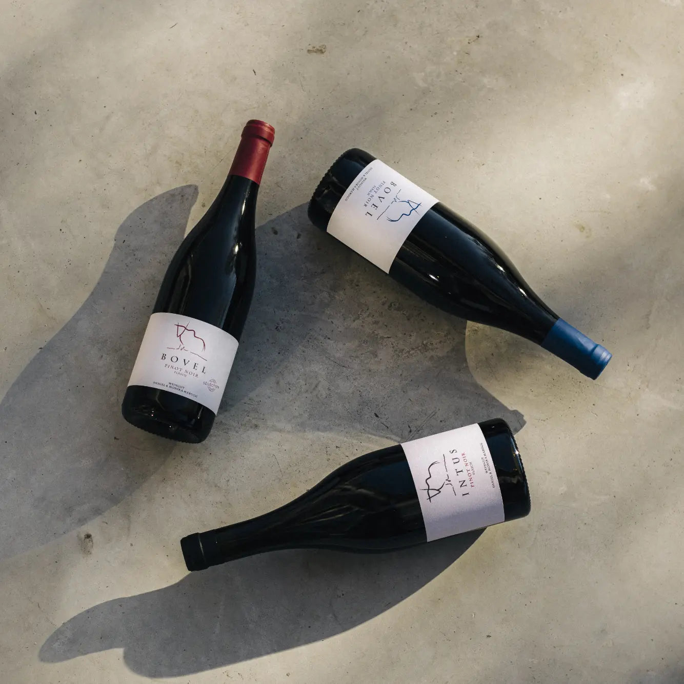 Drei Flaschen Pinot Noir vom Weingut Marugg auf Beton – zwei Bovel Sélection mit roter Kapsel und eine Intus mit blauer Kapsel, Fläsch, Bündner Herrschaft